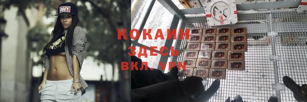 дурь Арсеньев