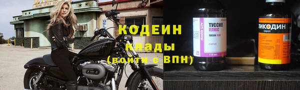 дурь Арсеньев