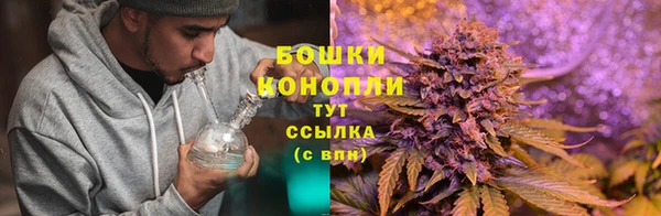бошки Аркадак