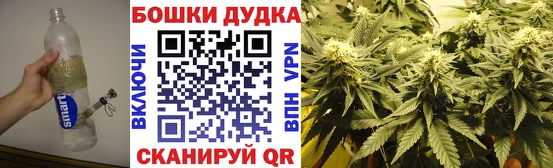 Шишки марихуана Bruce Banner Кубинка